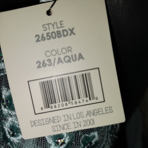 Lingerie - Picture 4 of 5